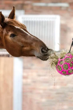 Online Hay ball Arena Equipment & Toys