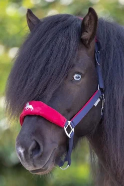 Online Hellnar Icelandic Halter Headcollars & Halters