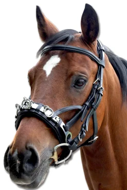 Sale Leather Cavesson Lunging Cavessons|Lunging Cavessons