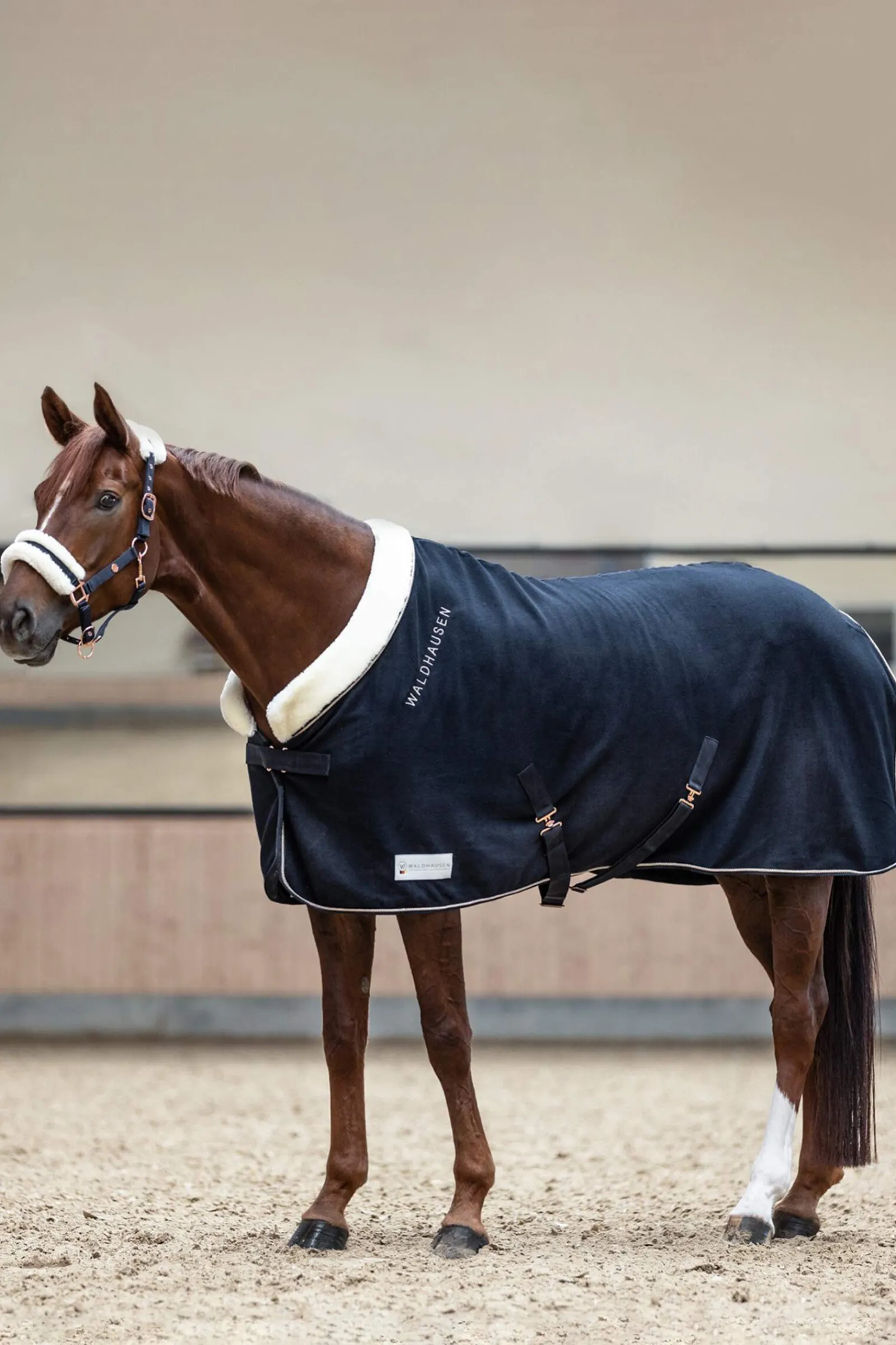 Discount Modern Rosé Fleece Rug Fleece Horse Rugs & Cooler Rugs