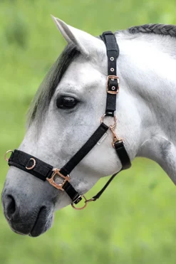 Clearance Rosé Lunging Halter Lunging Cavessons|Lunging Cavessons