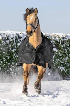 Hot Scandic Turnout Rug With High Neck, 200g Medium & Heavyweight Turnout Rugs