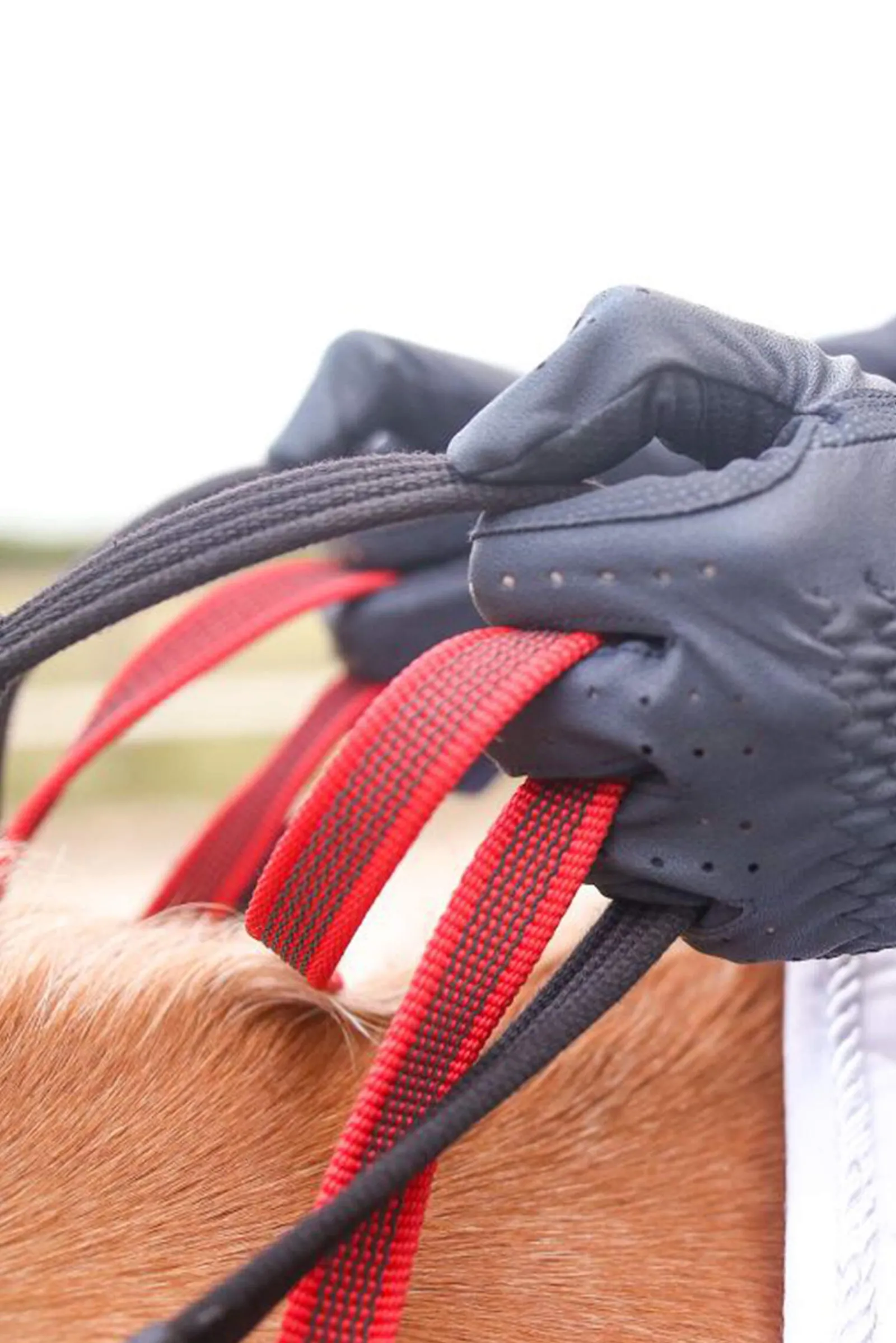 Clearance Secutrust Breastplate With Safety Reins Lunge Lines & Lunging Ropes|Lunge Lines & Lunging Ropes