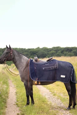 Online Western Comfort fly exercise sheet Fly Rugs|Fly Rugs