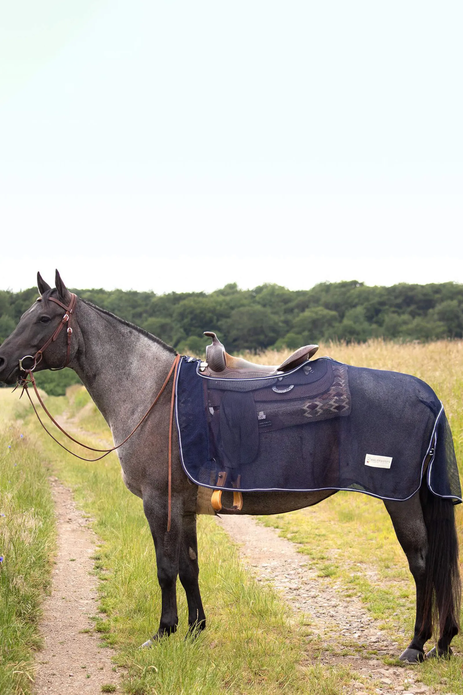 Online Western Comfort fly exercise sheet Fly Rugs|Fly Rugs