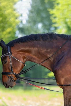 Hot WTrainrein Reins