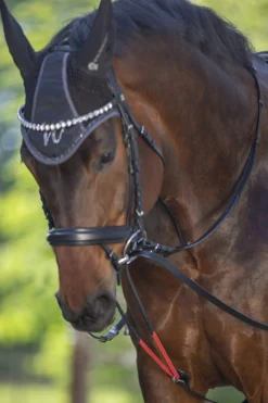 Hot WTrainrein Reins