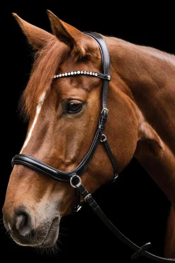 Fashion X-Line Sensation Anatomical Bitless Bridle Bridles & Nosebands