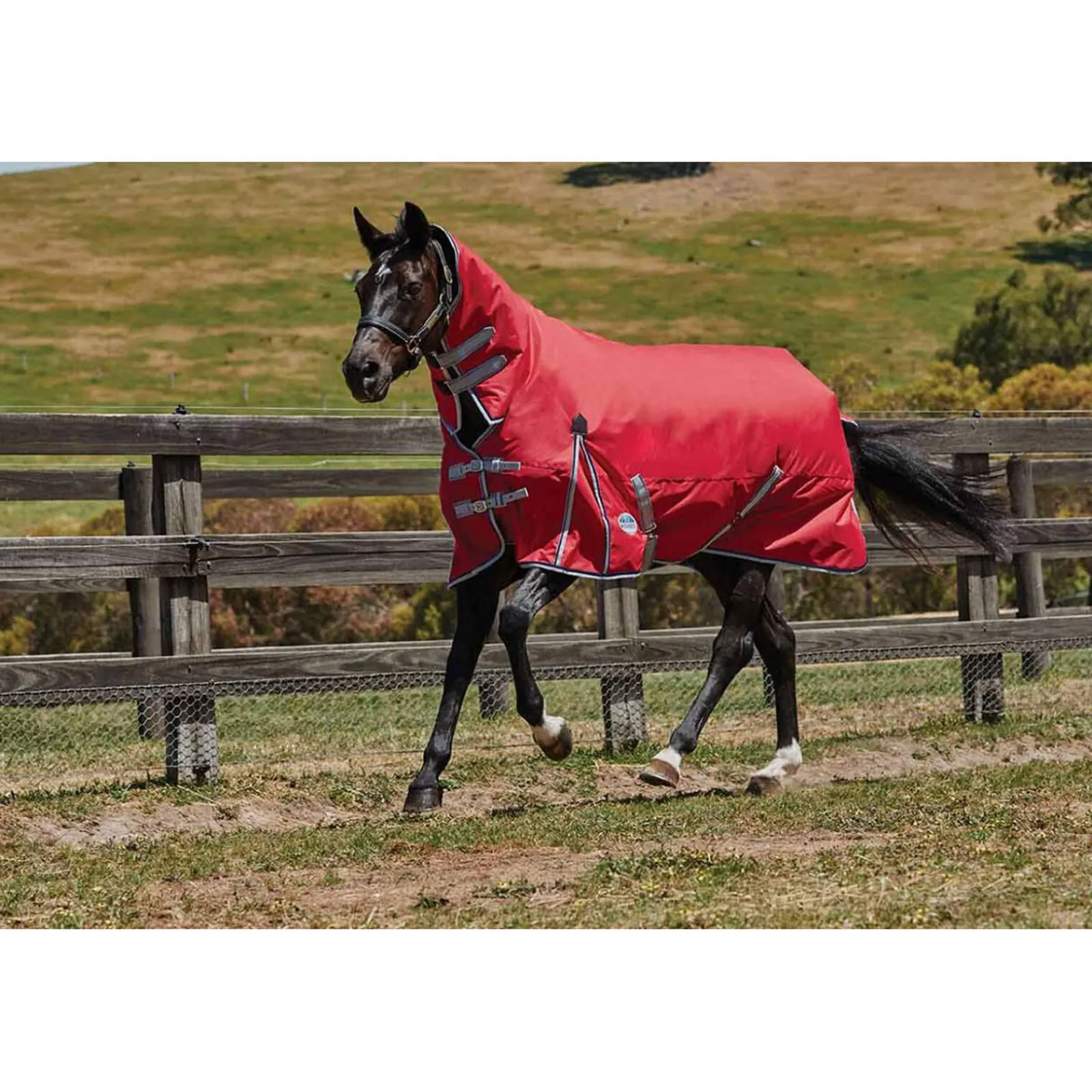 Sale Comfitec Classic Turnout Rug With Fixed Neck, 300g Medium & Heavyweight Turnout Rugs