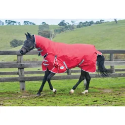 Online Comfitec Classic Turnout Rug With Fixed Neck, 220g Medium & Heavyweight Turnout Rugs
