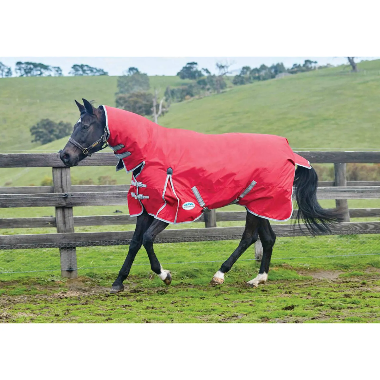 Online Comfitec Classic Turnout Rug With Fixed Neck, 220g Medium & Heavyweight Turnout Rugs