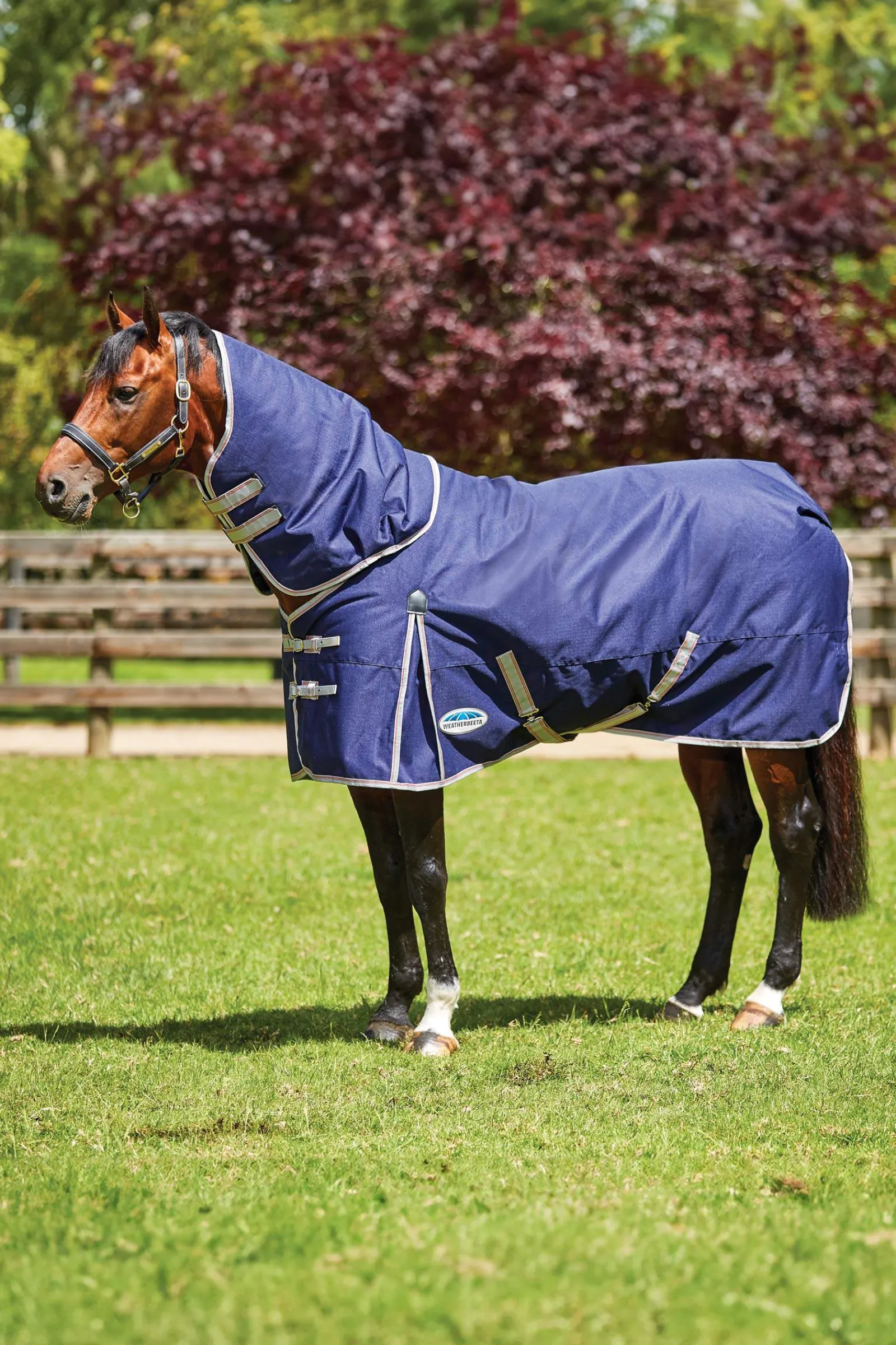 Sale Comfitec Essential Detach-a-Neck Medium Turnout Rug, 220g Medium & Heavyweight Turnout Rugs