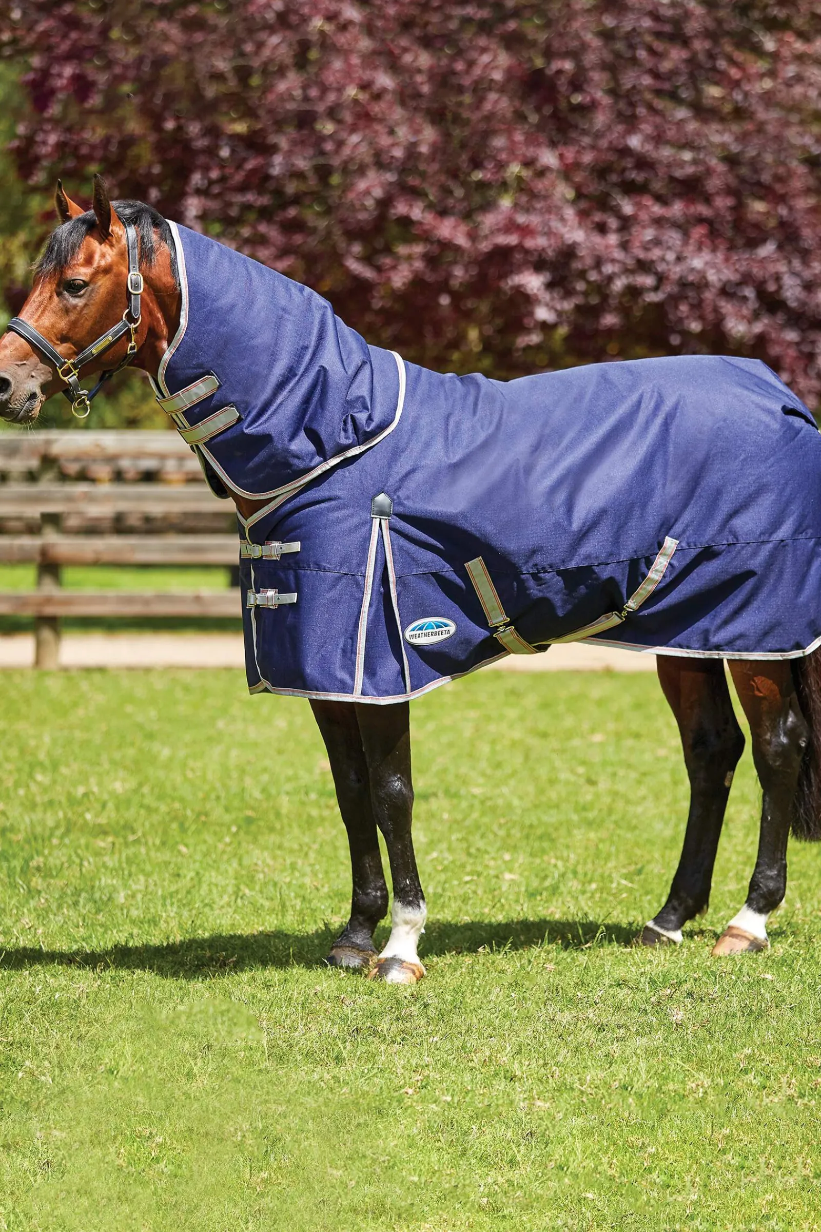 Sale Comfitec Essential Detach-a-Neck Medium Turnout Rug, 220g Medium & Heavyweight Turnout Rugs