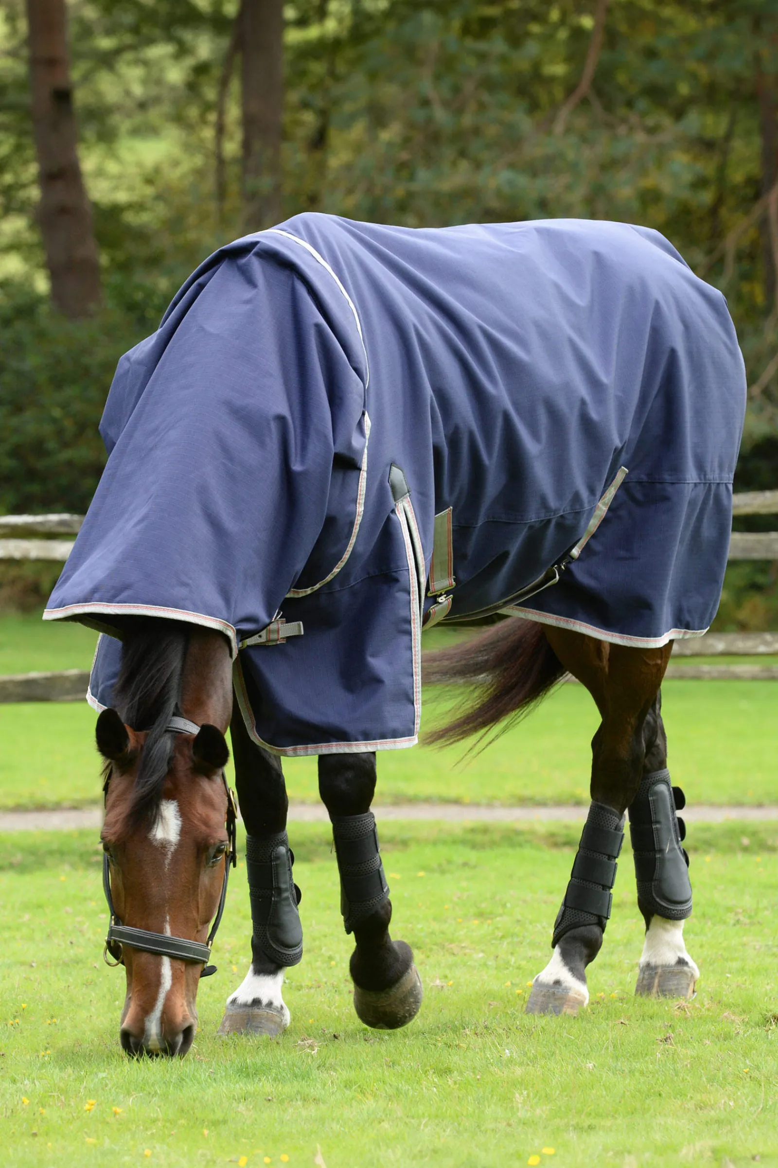 Sale Comfitec Essential Detach-a-Neck Medium Turnout Rug, 220g Medium & Heavyweight Turnout Rugs