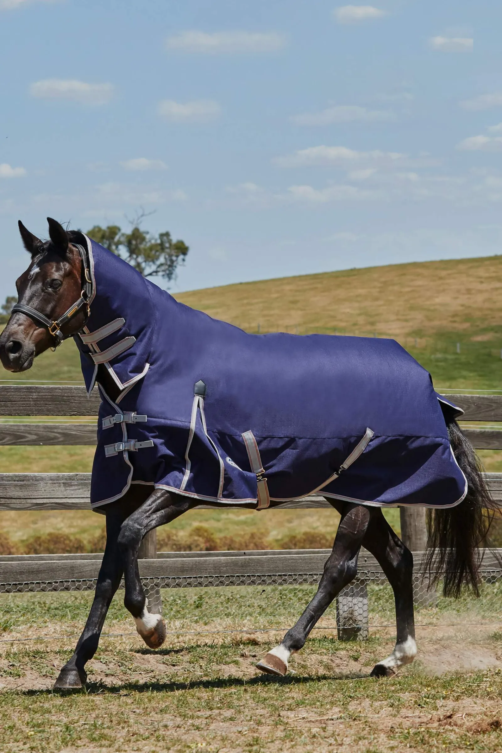 Discount Comfitec Essential Turnout Rug With Fixed Neck, 220g Medium & Heavyweight Turnout Rugs