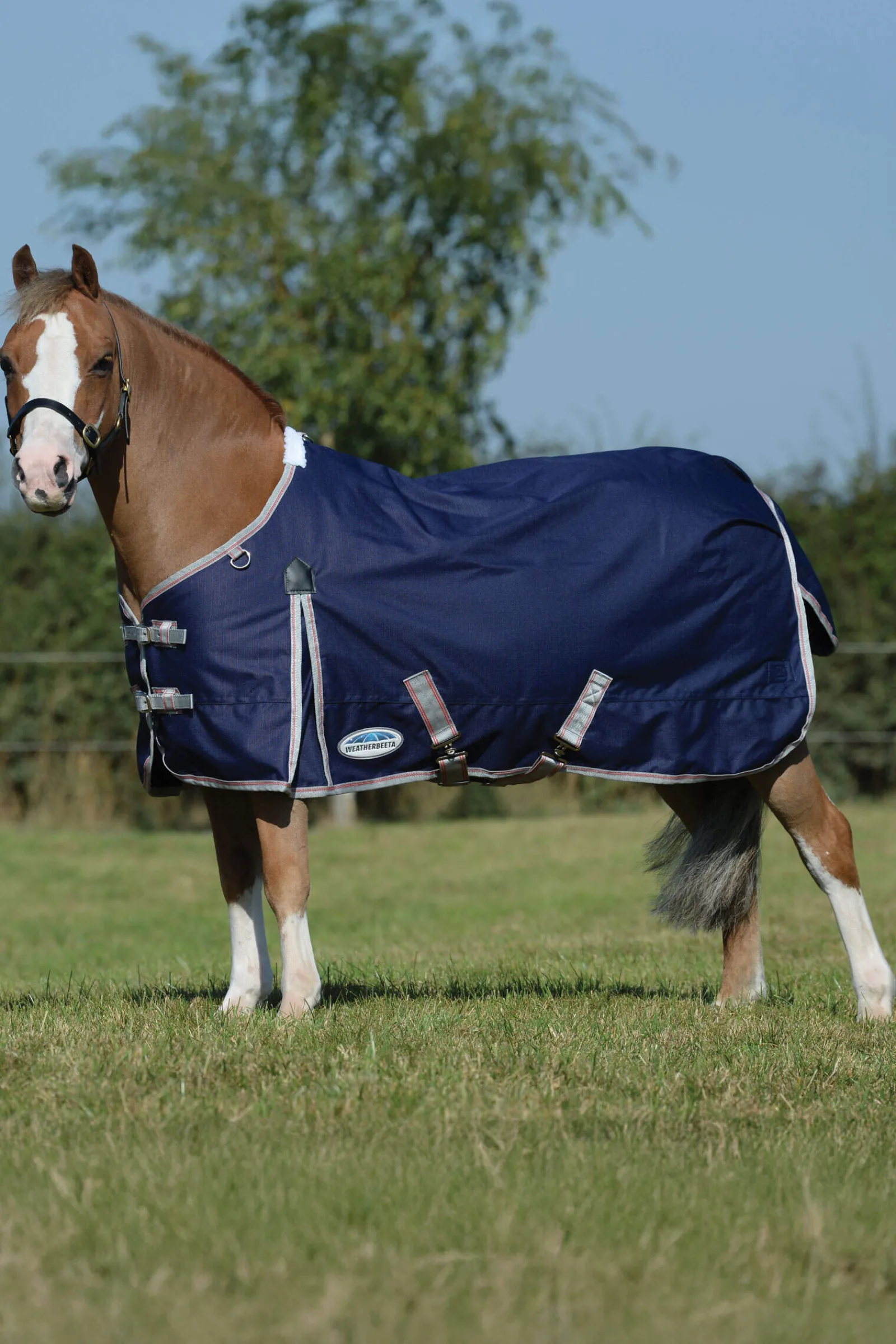 Discount Comfitec Essential Plus Turnout Rug, 50g Lightweight Turnout Rugs