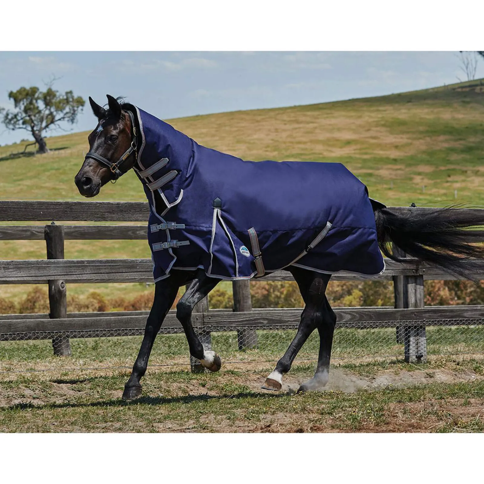 Best Comfitec Essential Turnout Rug with Fixed Neck, 360g Medium & Heavyweight Turnout Rugs