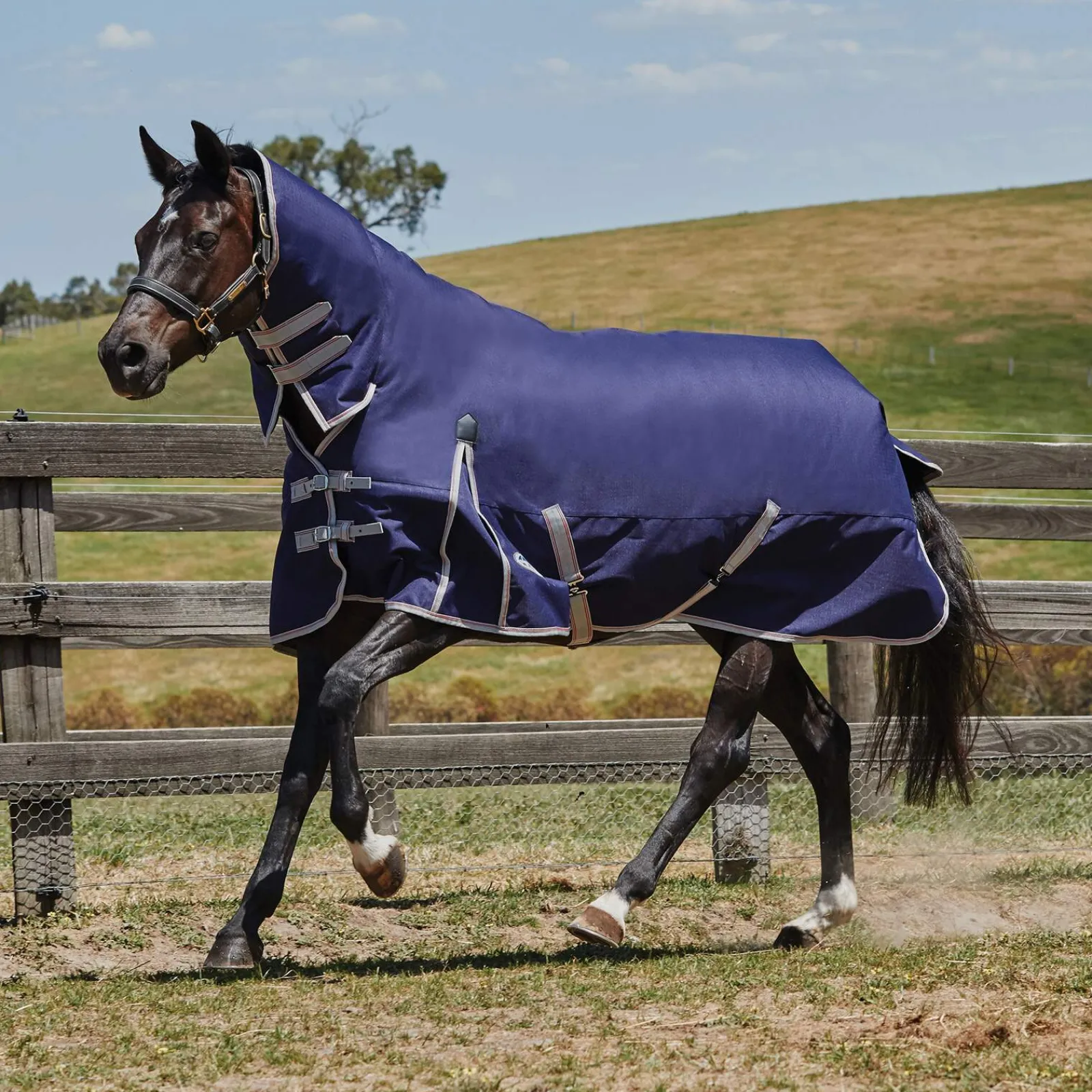 Online Comfitec Essential Combo Neck Lite Plus Lightweight Turnout Rugs