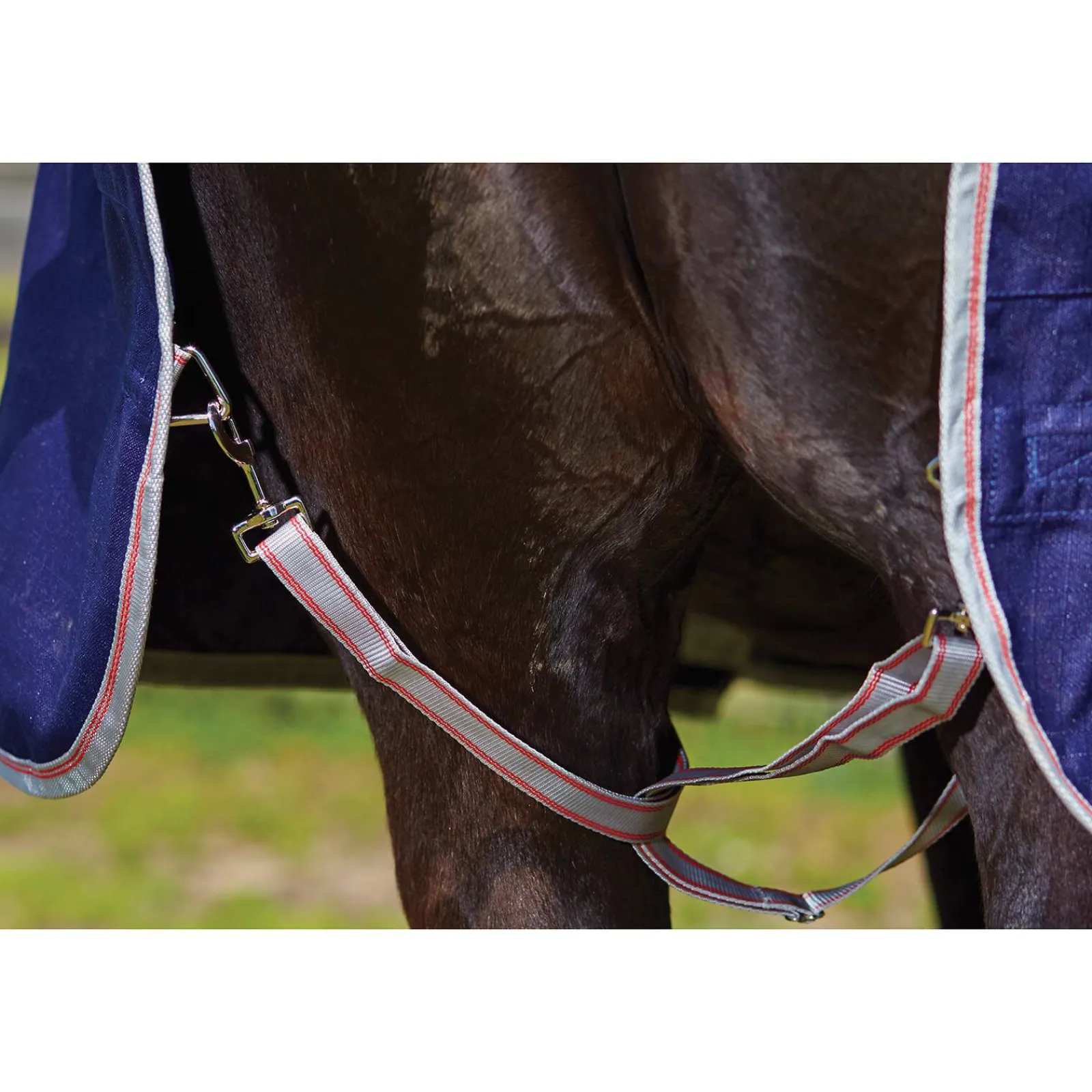 Sale Comfitec Essential Turnout Rug with Fixed Neck, 0g Lightweight Turnout Rugs