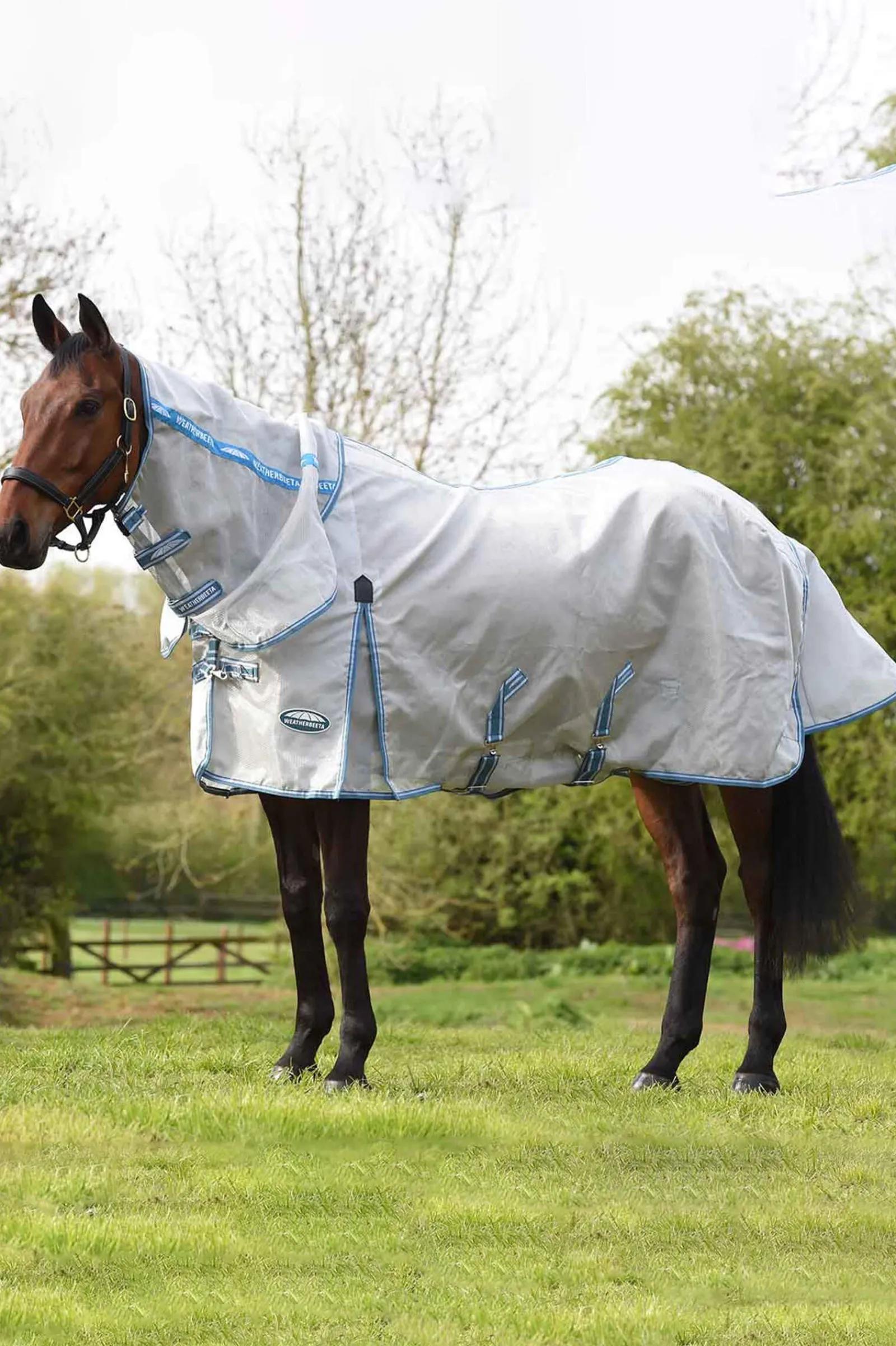 New Comfitec Hexi Shield Combo Neck Lightweight Turnout Rugs