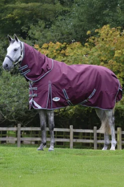 Clearance Comfitec Plus Dynamic II Turnout Rug With Detachable Neck, 100g Medium & Heavyweight Turnout Rugs