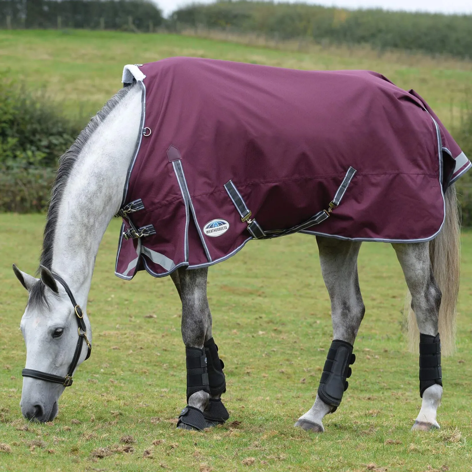 Online Comfitec Plus Dynamic II Turnout Rug, 0g Lightweight Turnout Rugs