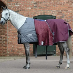 Online Comfitec Plus Dynamic II Combo Neck Turnout Rug, 220g Medium & Heavyweight Turnout Rugs
