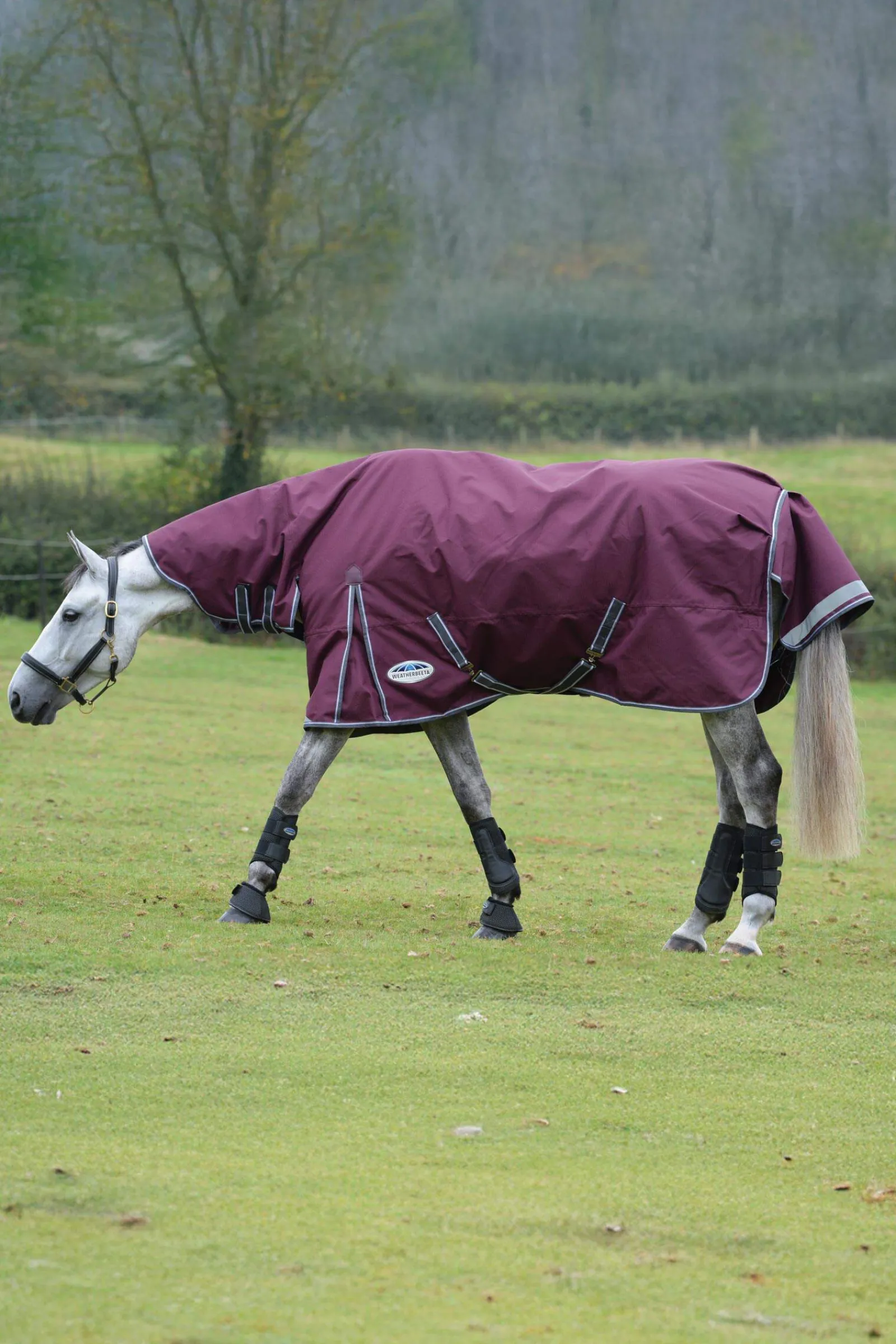 Clearance Comfitec Plus Dynamic II Turnout Rug With Fixed Neck, 100g Medium & Heavyweight Turnout Rugs