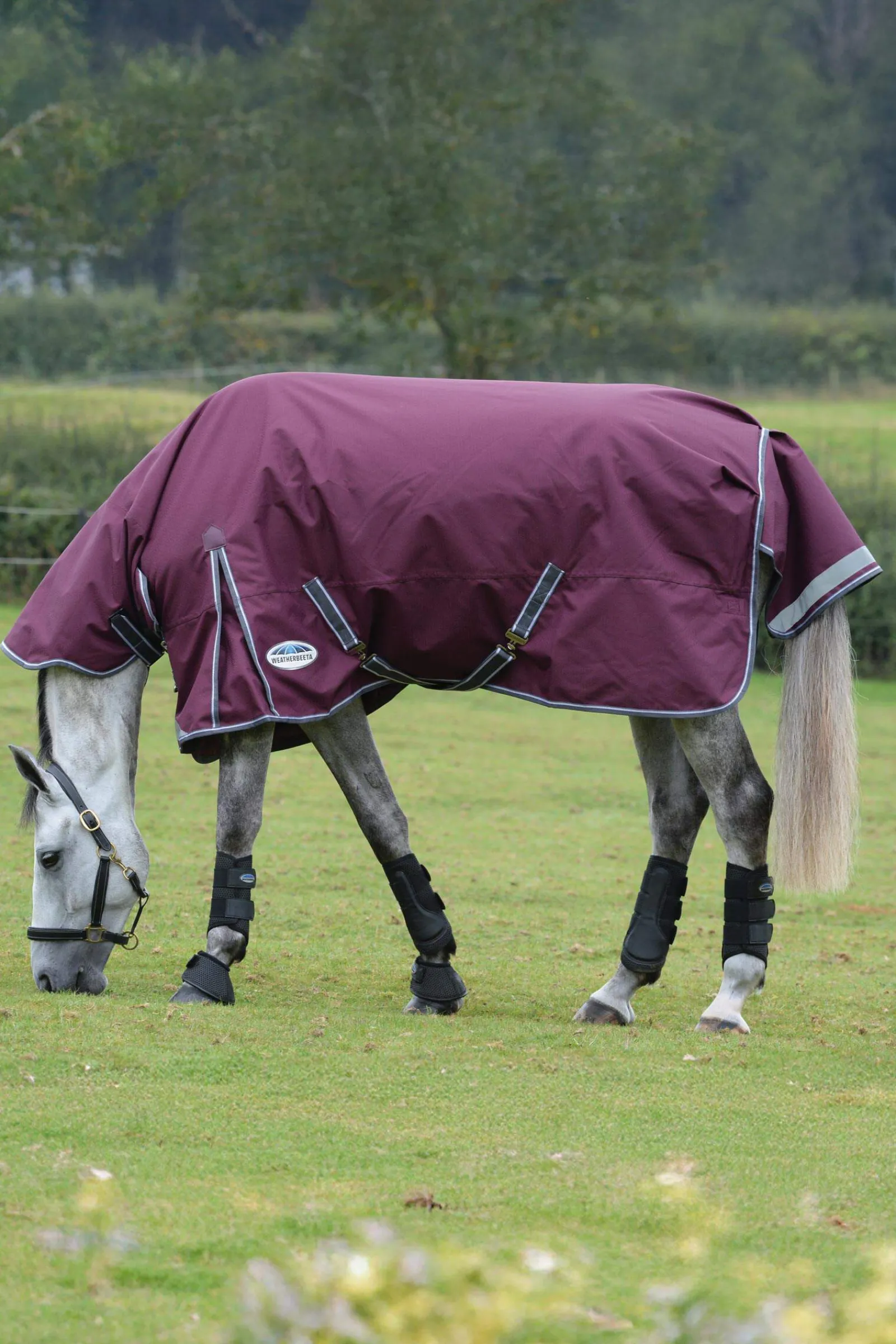 Clearance Comfitec Plus Dynamic II Turnout Rug With Fixed Neck, 100g Medium & Heavyweight Turnout Rugs