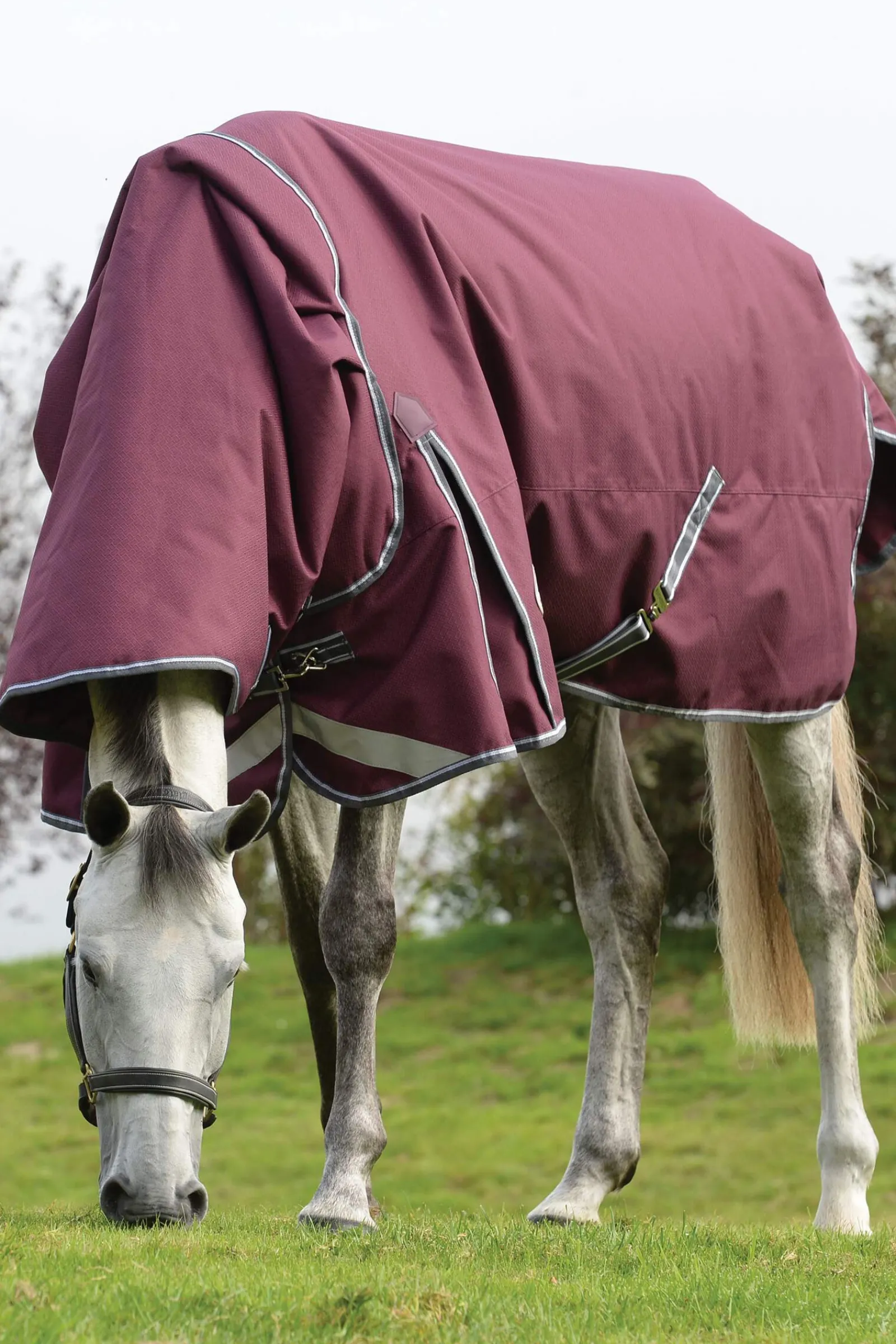 Fashion Comfitec Plus Dynamic II Detach-a-Neck Heavy Turnout Rug, 360g Medium & Heavyweight Turnout Rugs