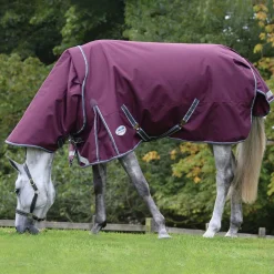 Best Comfitec Plus Dynamic II Detach-a-Neck Turnout Rug, 0g Medium & Heavyweight Turnout Rugs