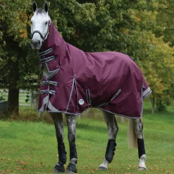 Discount Comfitec Plus Dynamic II Combo Neck Turnout Rug, 0g Lightweight Turnout Rugs