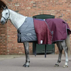 Discount Comfitec Plus Dynamic II Combo Neck Turnout Rug, 0g Lightweight Turnout Rugs
