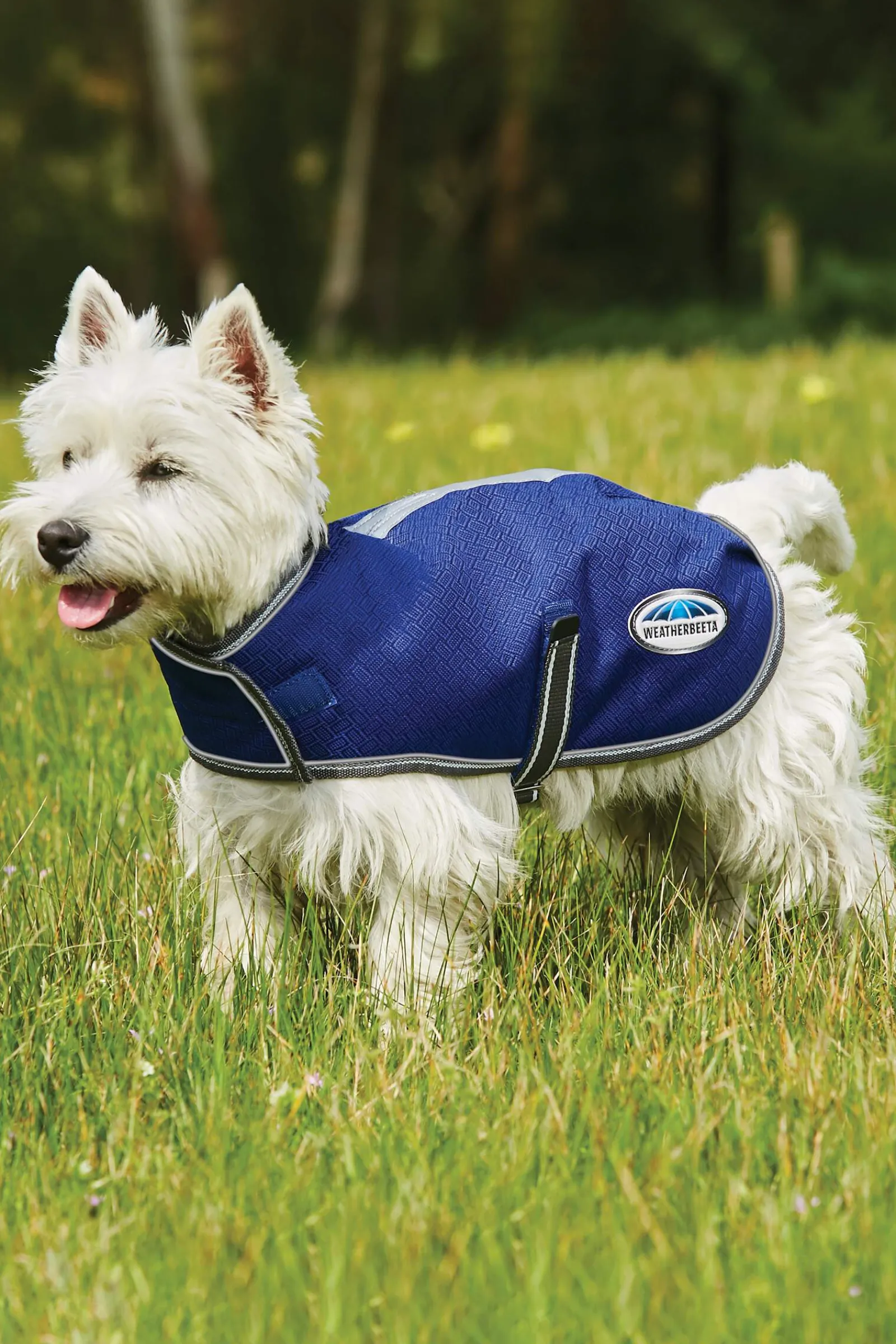New Comfitec Premier Free Parka Dog Coat Medium, 220g Dog Rugs & Coats