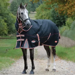 Hot Comfitec Premier with Therapy-Tec incl. Detachable Neck, 220g Medium & Heavyweight Turnout Rugs