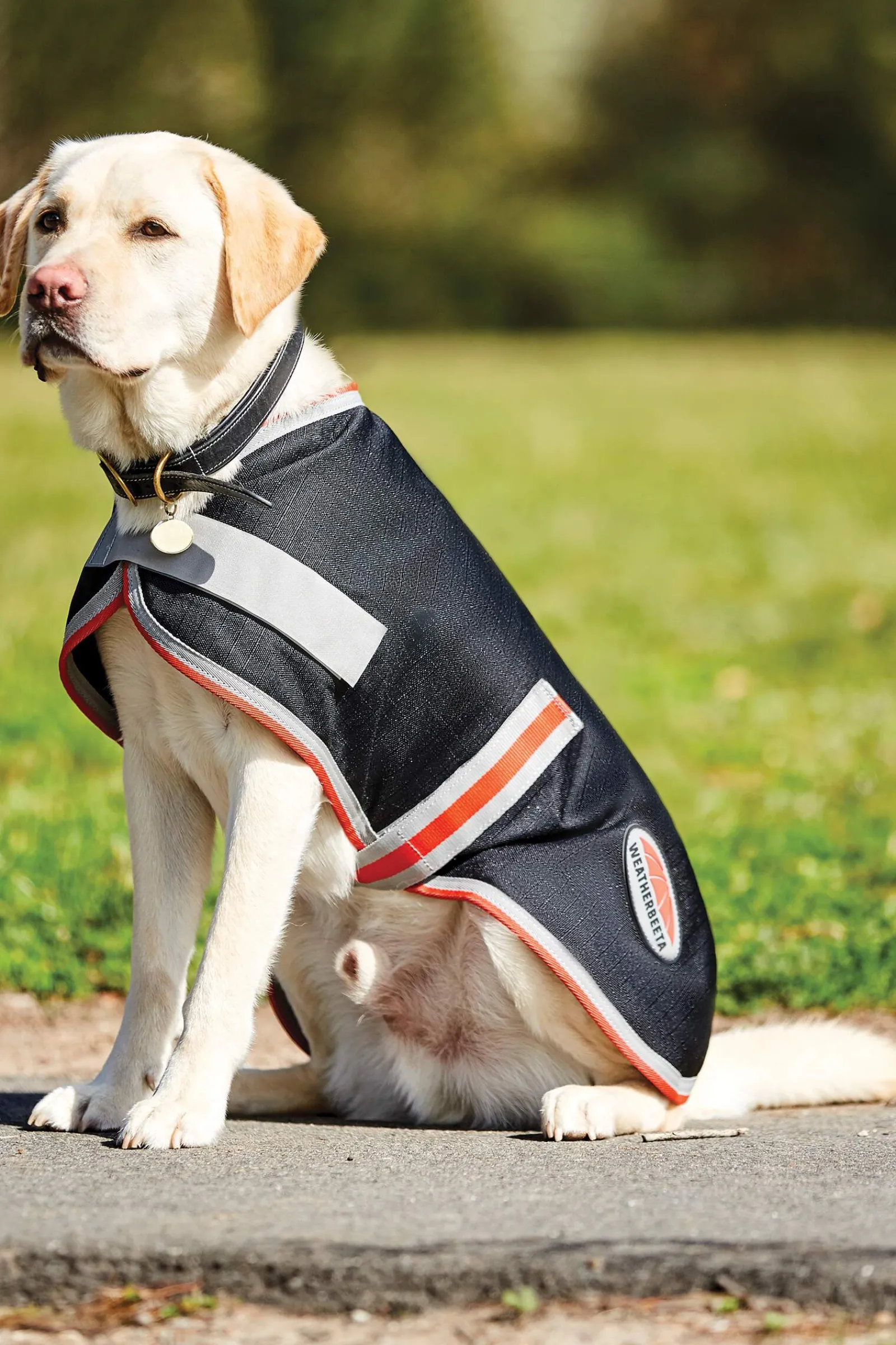 Clearance Comfitec Therapy-Tec 1200D Dog Coat, 100g Dog Rugs & Coats