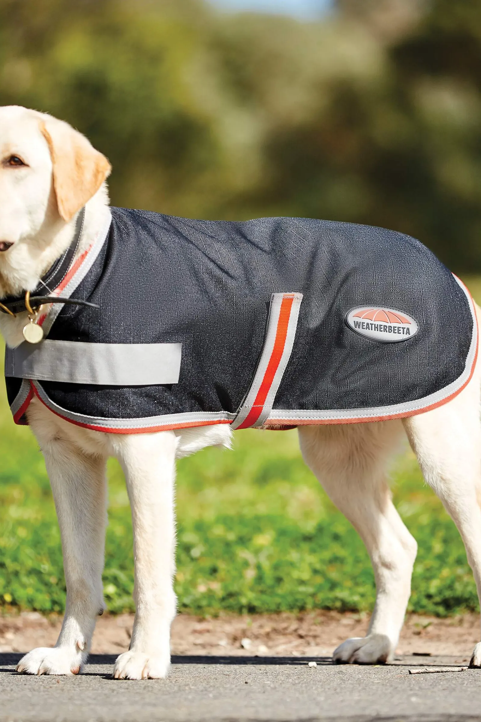 Clearance Comfitec Therapy-Tec 1200D Dog Coat, 100g Dog Rugs & Coats