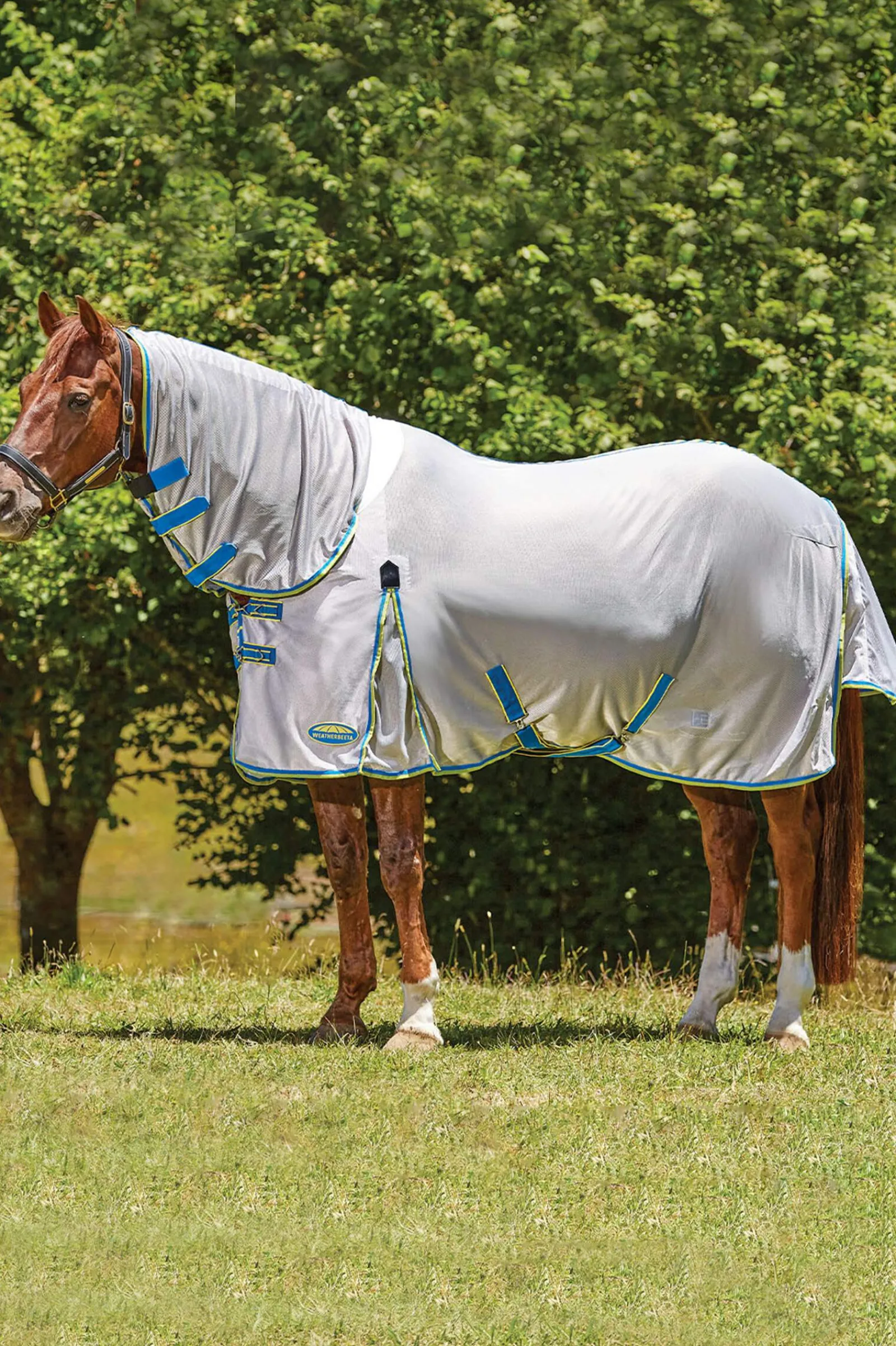 Sale Comfitec Zephyr Plus Mesh Combo Neck Medium & Heavyweight Turnout Rugs