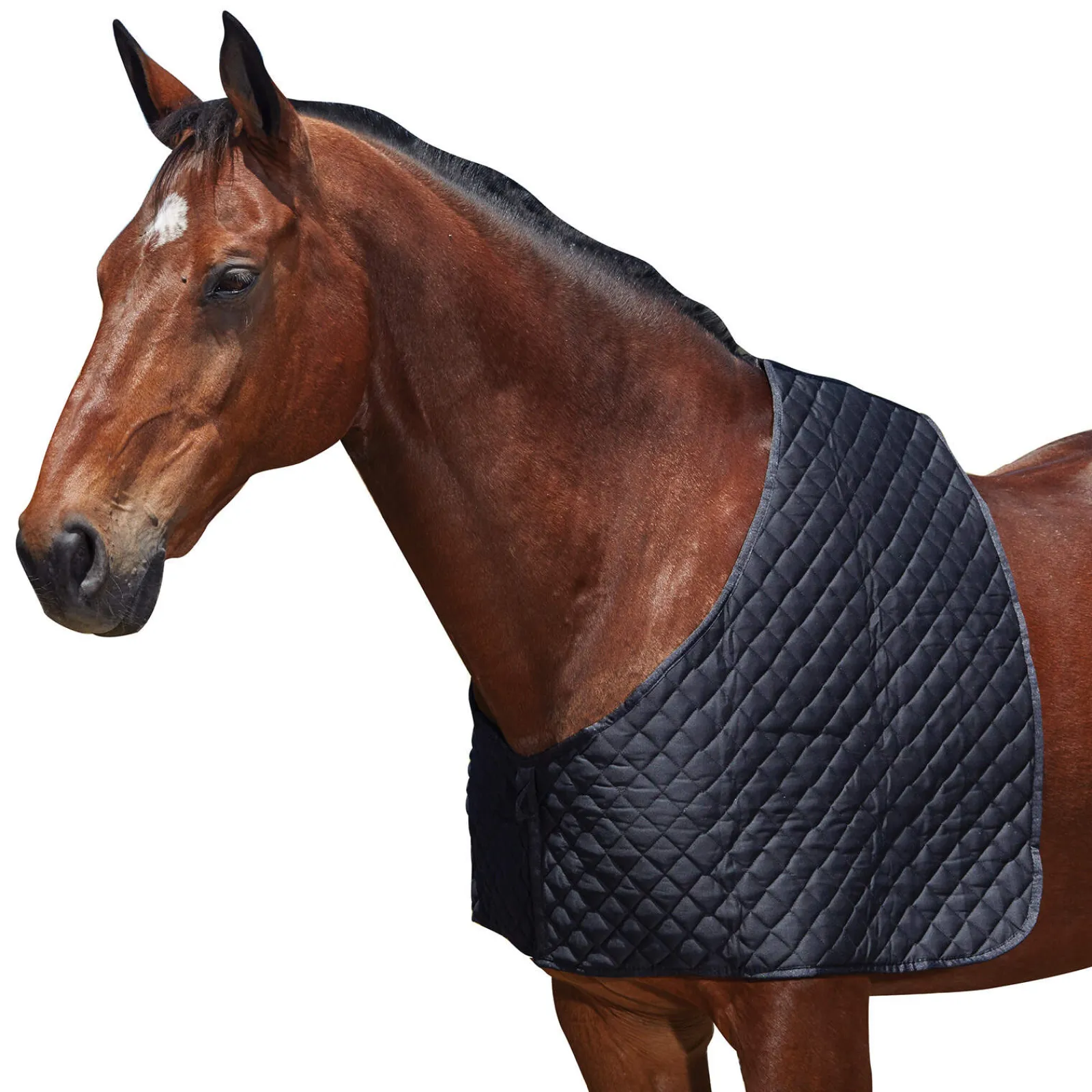 Discount Deluxe Shoulder Guard Horse Rug Accessories