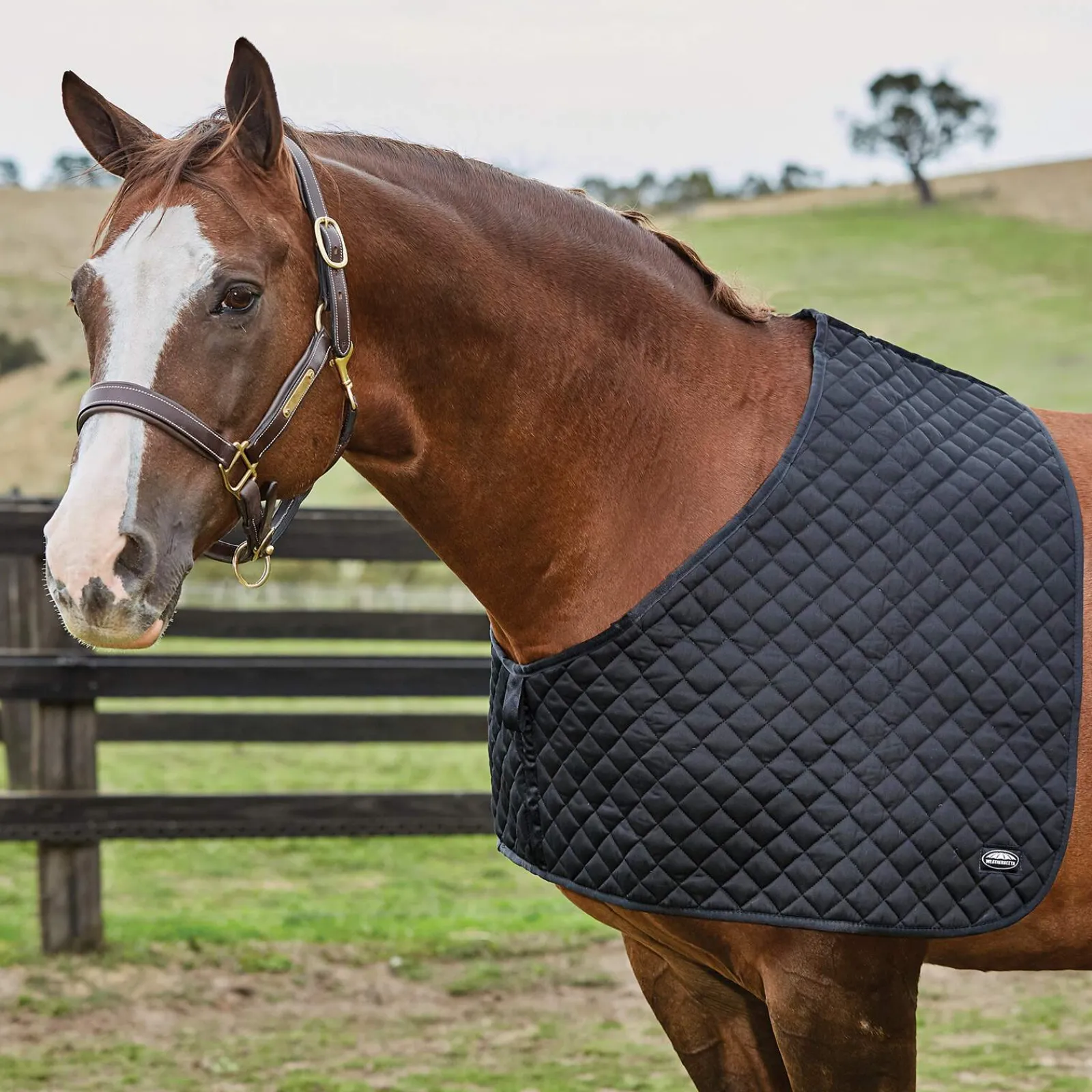 Discount Deluxe Shoulder Guard Horse Rug Accessories