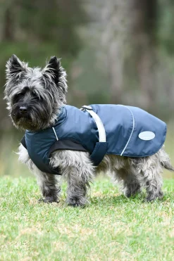 New Explorer Medium Dog Coat Dog Rugs & Coats