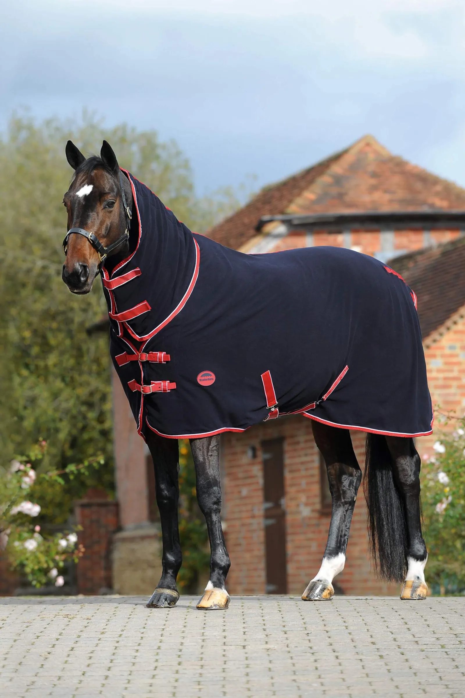 Outlet Fleece Cooler Combo with Fixed Neck Fleece Horse Rugs & Cooler Rugs