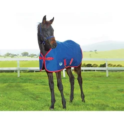Sale Original Foal Rug, 220g Medium & Heavyweight Turnout Rugs