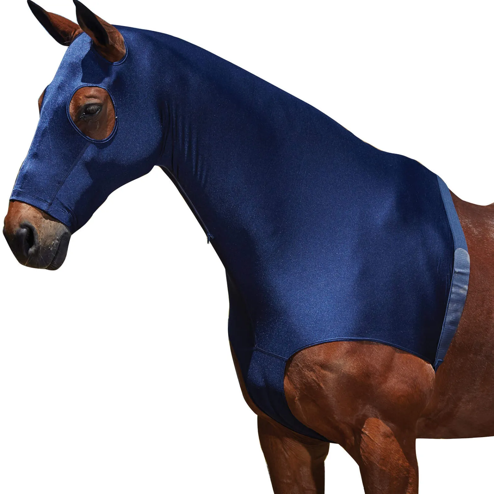 Best Stretch Hood With Zip Horse Rug Accessories