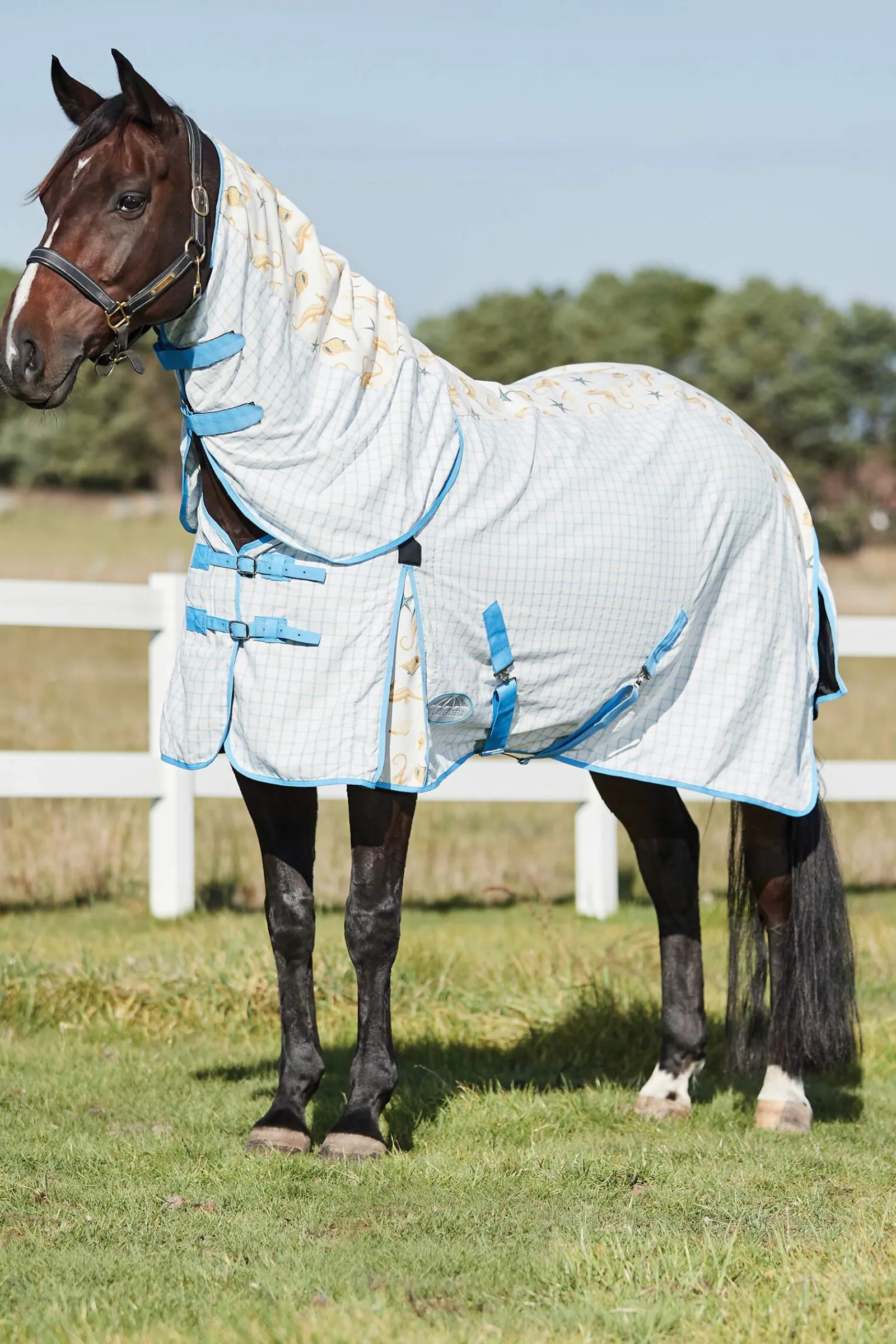 Discount Summer Sheet Lite IV Combo Neck, Print Fly Rugs|Fly Rugs