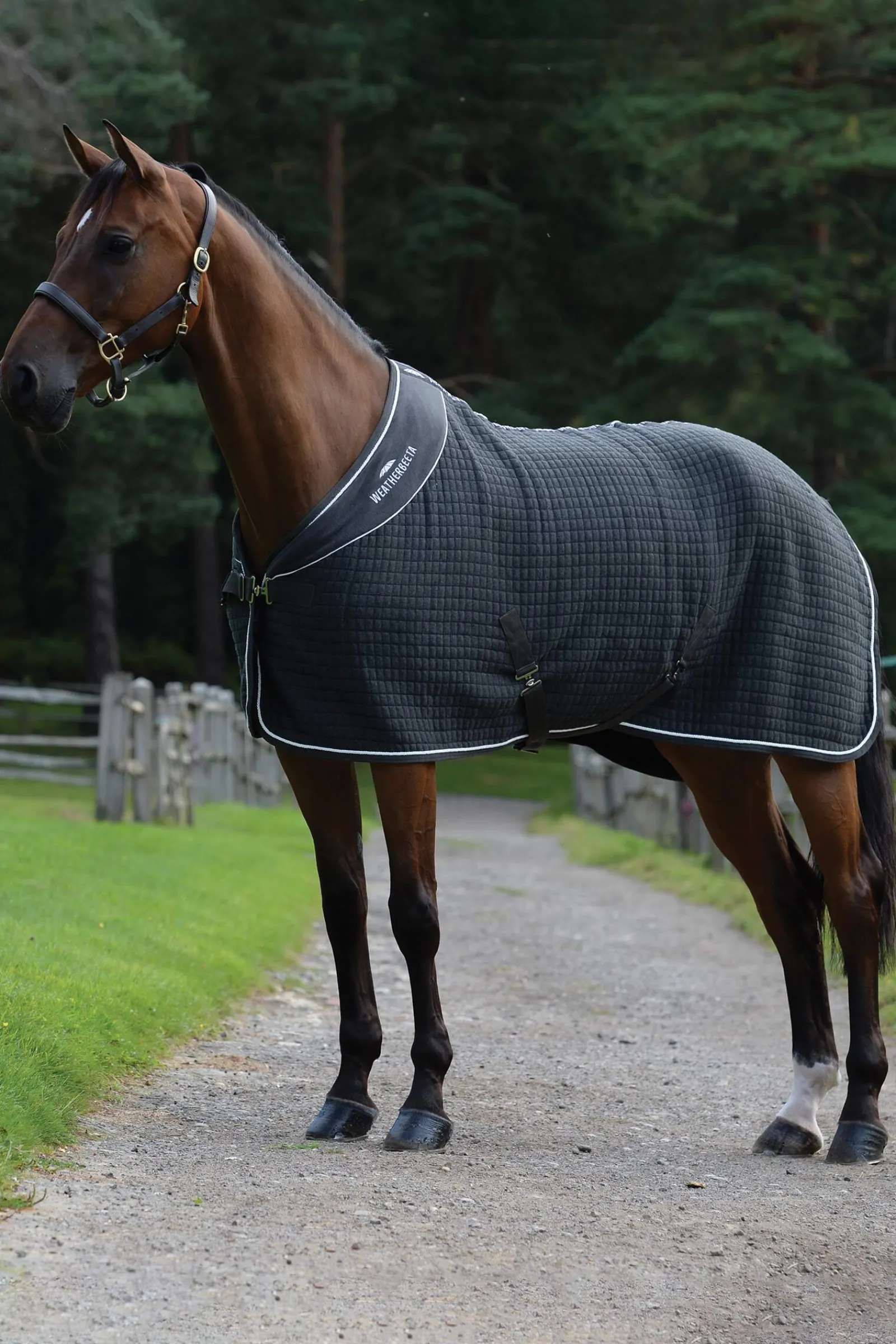 Hot Thermocell Cooler Fleece Horse Rugs & Cooler Rugs